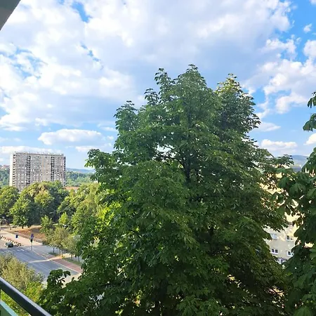 Apartman Bosnjak 公寓 塞拉耶佛