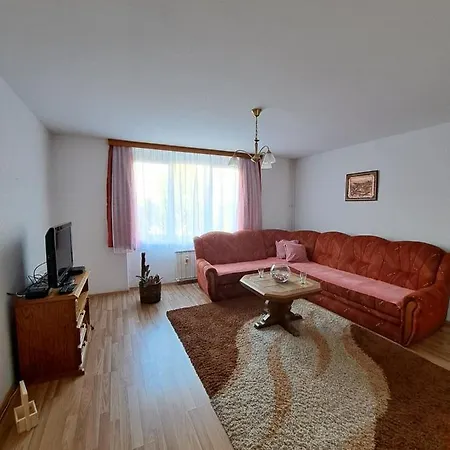 Apartman Bosnjak 公寓